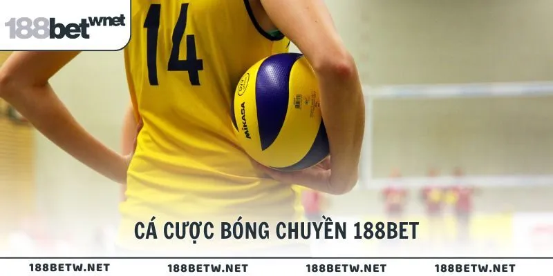 cá cược bóng chuyền 188BET