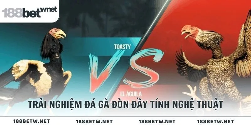 Trải nghiệm đá gà đòn đầy tính nghệ thuật