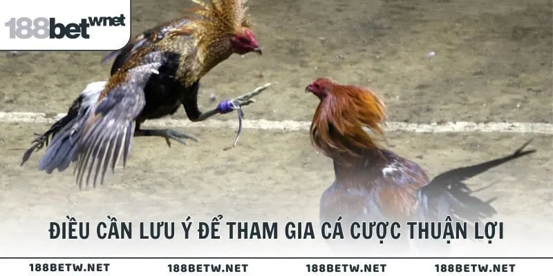Điều cần lưu ý để tham gia cá cược thuận lợi