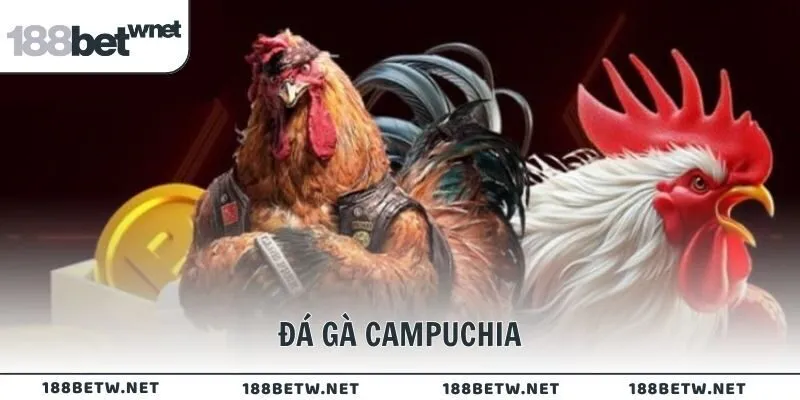 Đá gà Campuchia