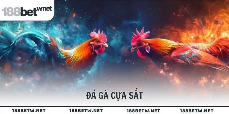 Đá gà cựa sắt