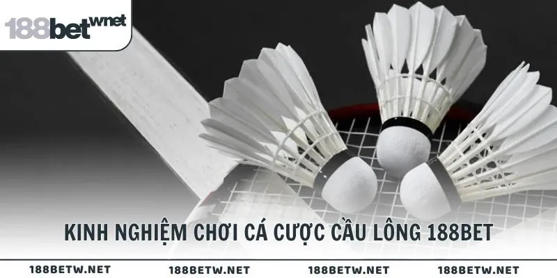 Kinh nghiệm chơi cá cược cầu lông 188BET
