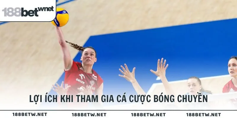 Lợi ích khi tham gia cá cược bóng chuyền là gì?
