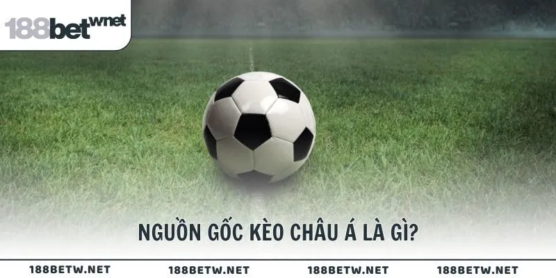 Nguồn gốc kèo châu Á là gì?