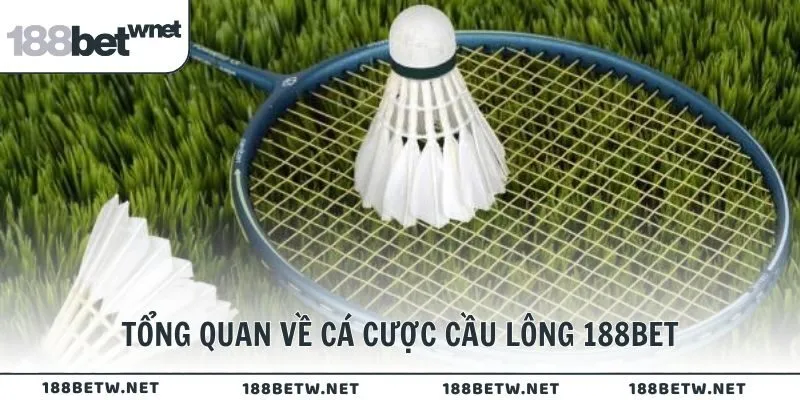 Tổng quan về cá cược cầu lông 188BET là gì?